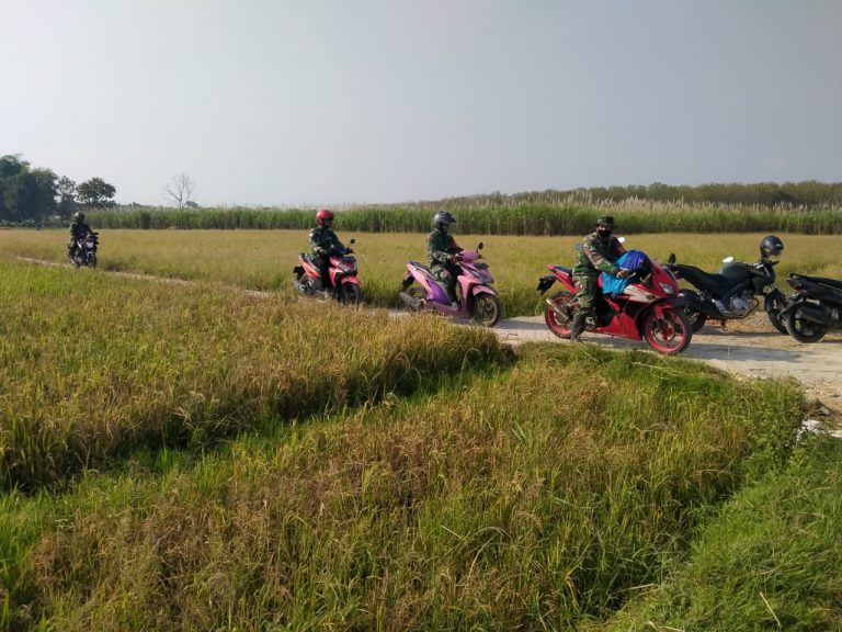 WhatsApp Image 2021-06-06 at 19.19.31