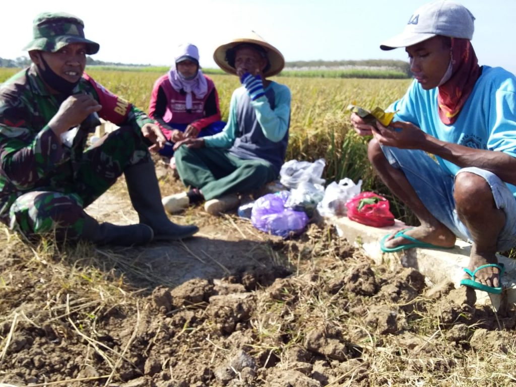 WhatsApp Image 2021-06-06 at 19.46.20