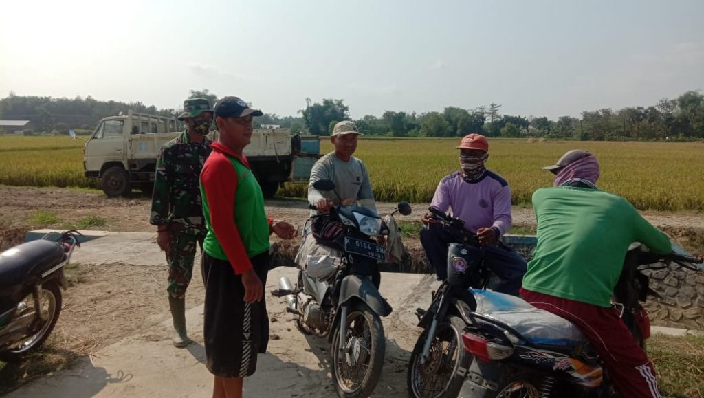 WhatsApp Image 2021-06-08 at 13.26.08