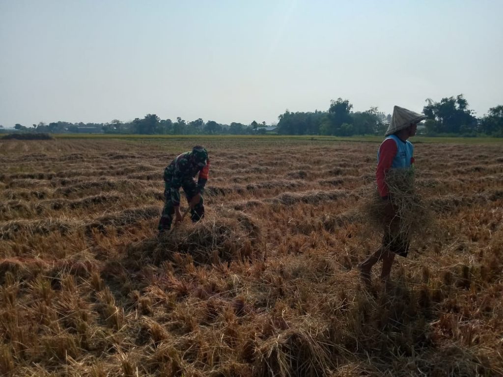 WhatsApp Image 2021-06-08 at 13.26.14