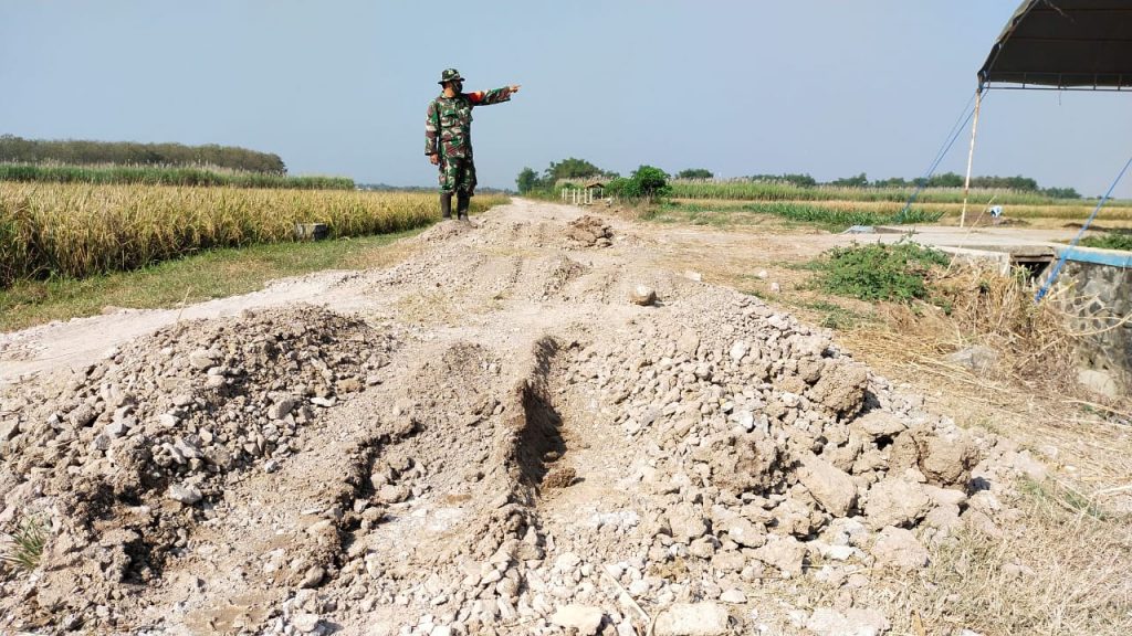 WhatsApp Image 2021-06-08 at 13.26.18