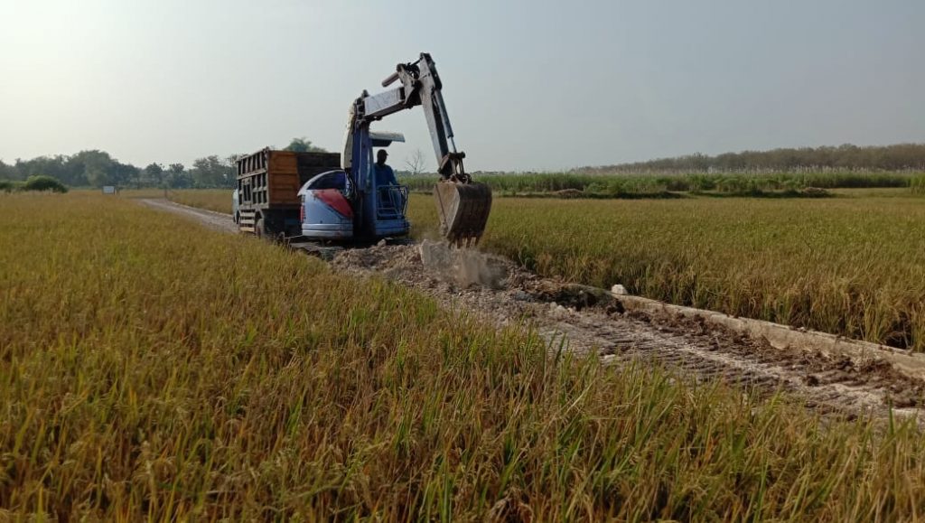 WhatsApp Image 2021-06-08 at 13.26.46