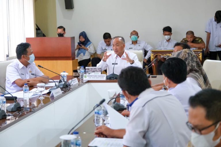 WhatsApp Image 2021-06-09 at 05.15.35