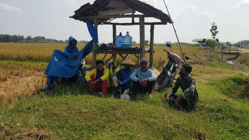 WhatsApp Image 2021-06-09 at 14.32.52