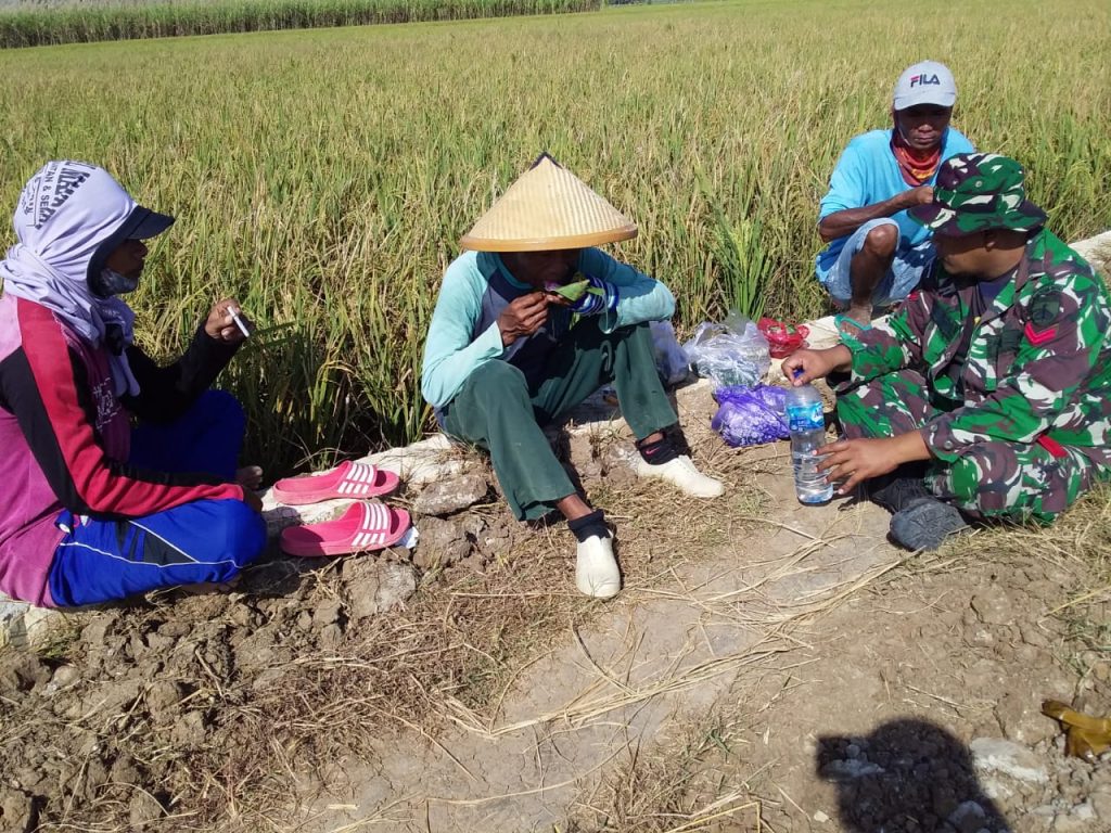 WhatsApp Image 2021-06-09 at 14.33.21