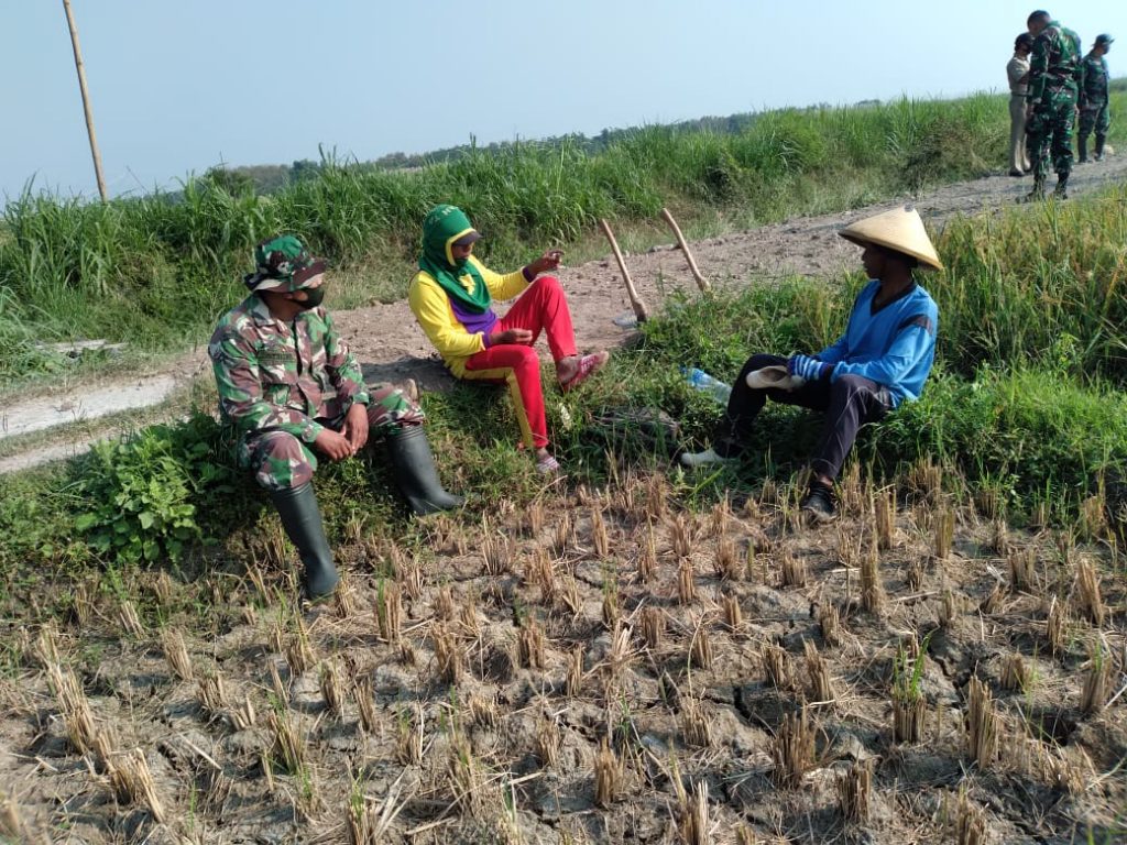 WhatsApp Image 2021-06-09 at 14.33.25