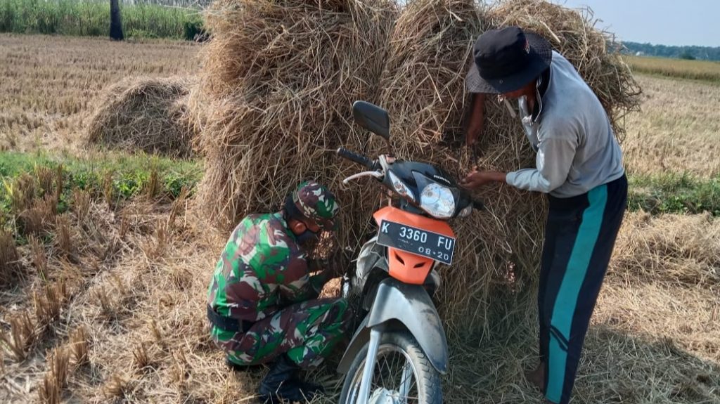 WhatsApp Image 2021-06-09 at 14.33.52