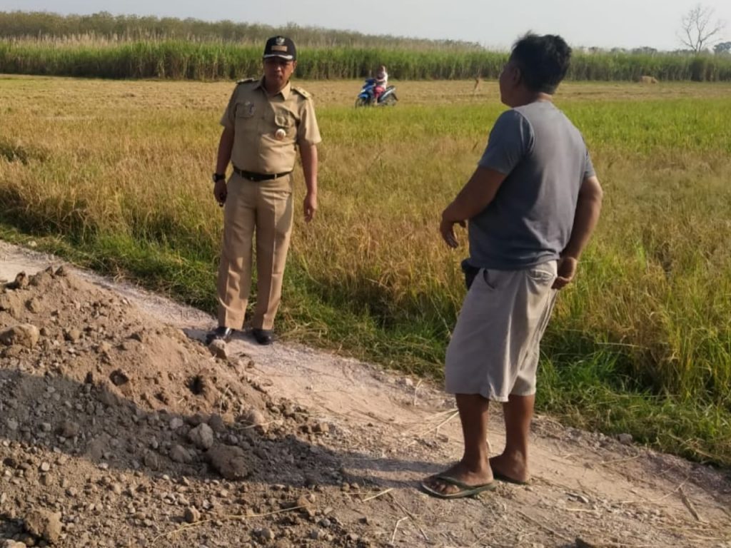 WhatsApp Image 2021-06-09 at 14.33.57