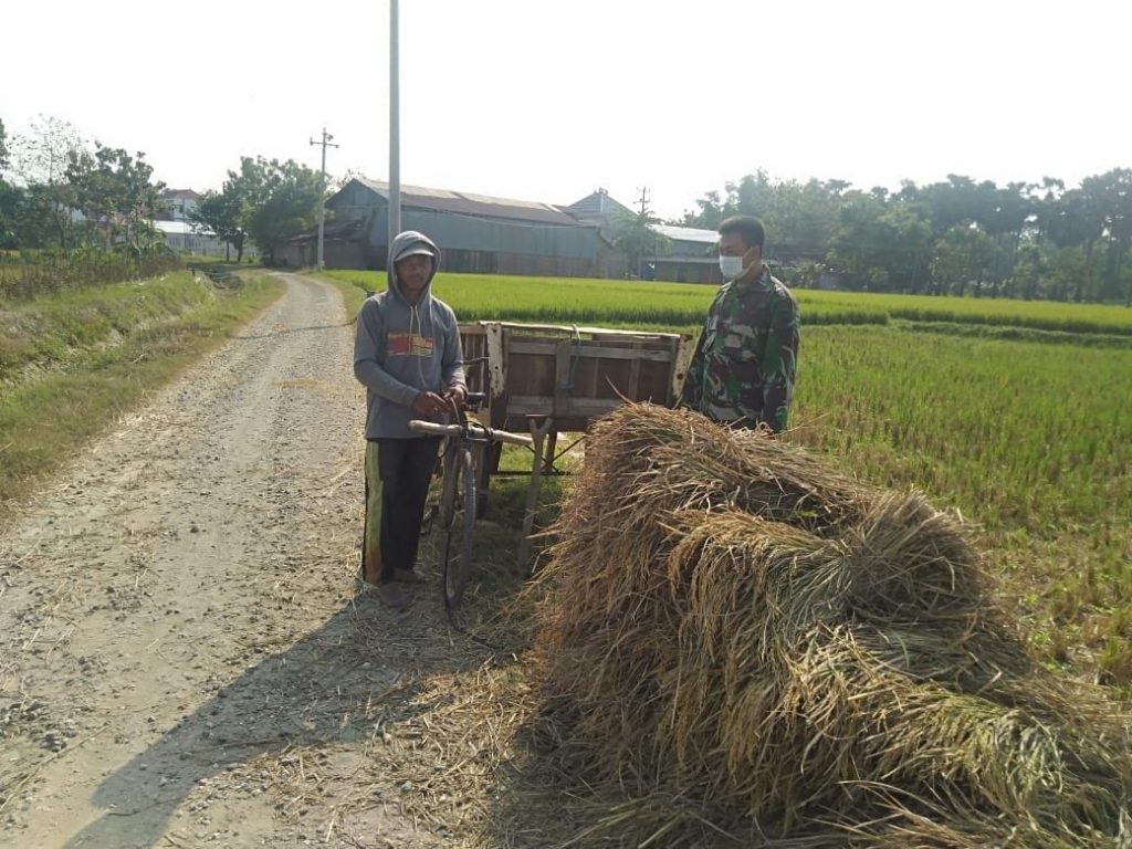 WhatsApp Image 2021-06-09 at 14.34.13