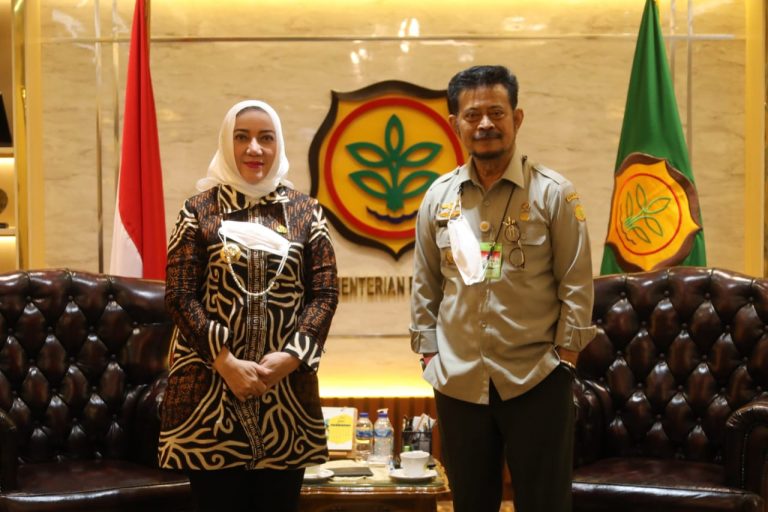 WhatsApp Image 2021-06-10 at 08.52.43