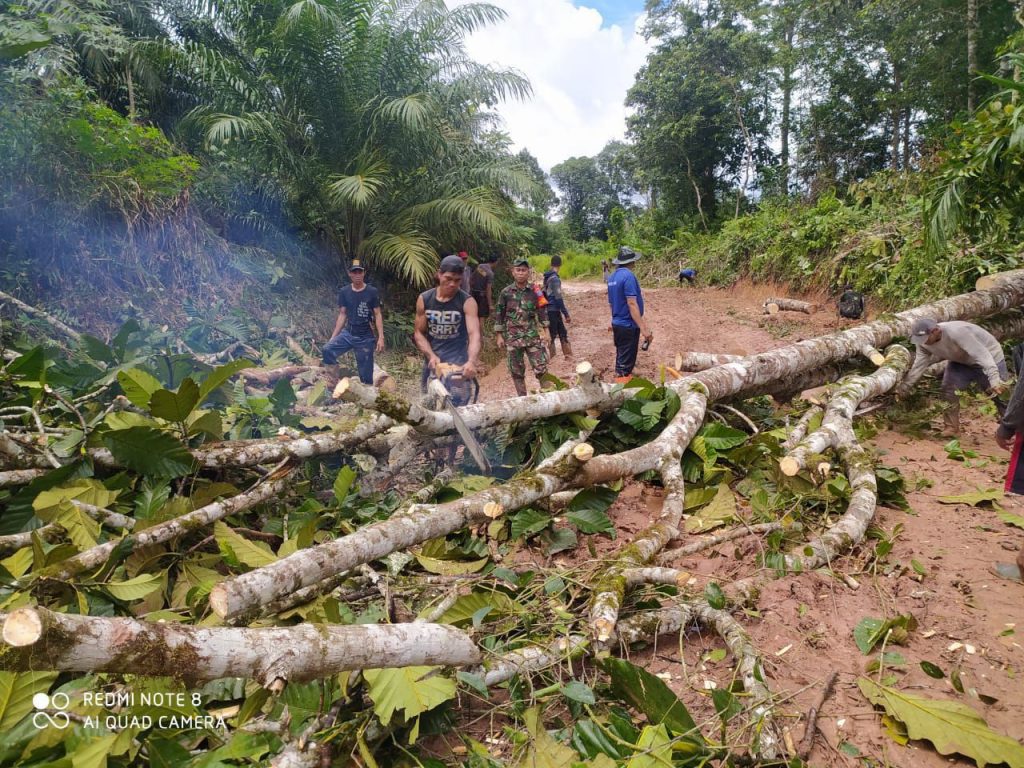 WhatsApp Image 2021-06-11 at 05.07.51