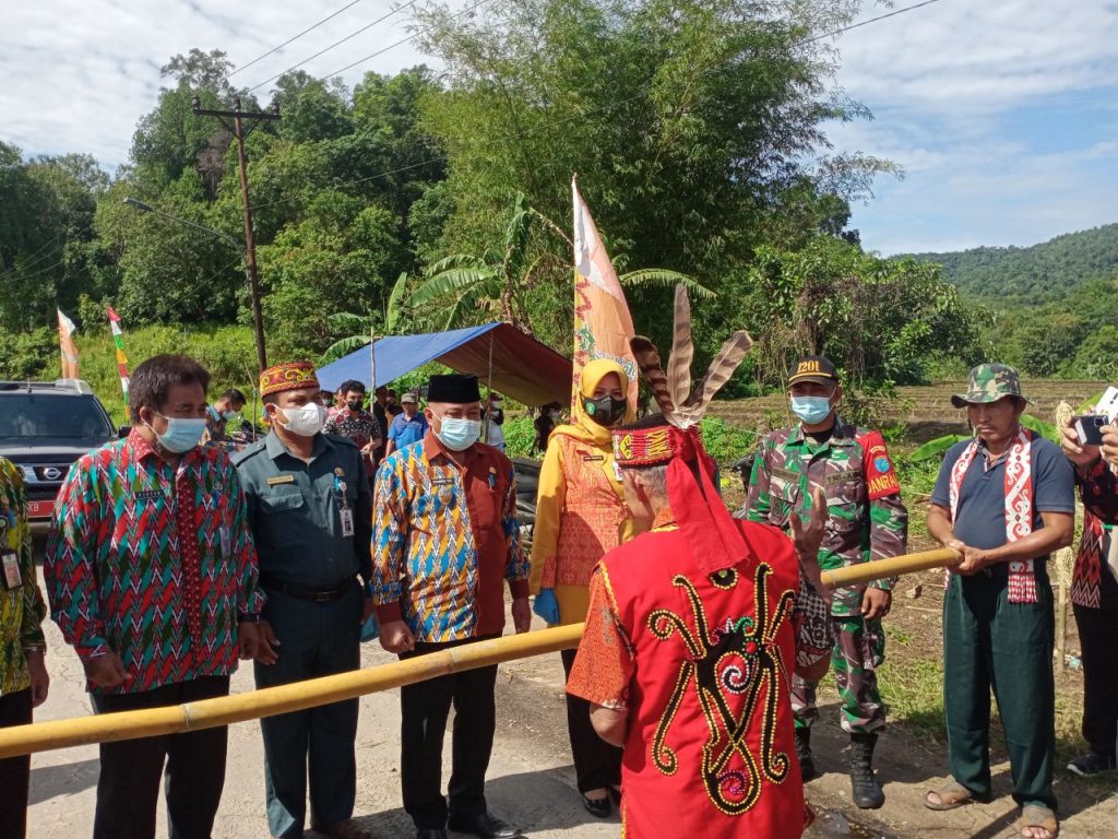 WhatsApp Image 2021-06-11 at 05.07.58