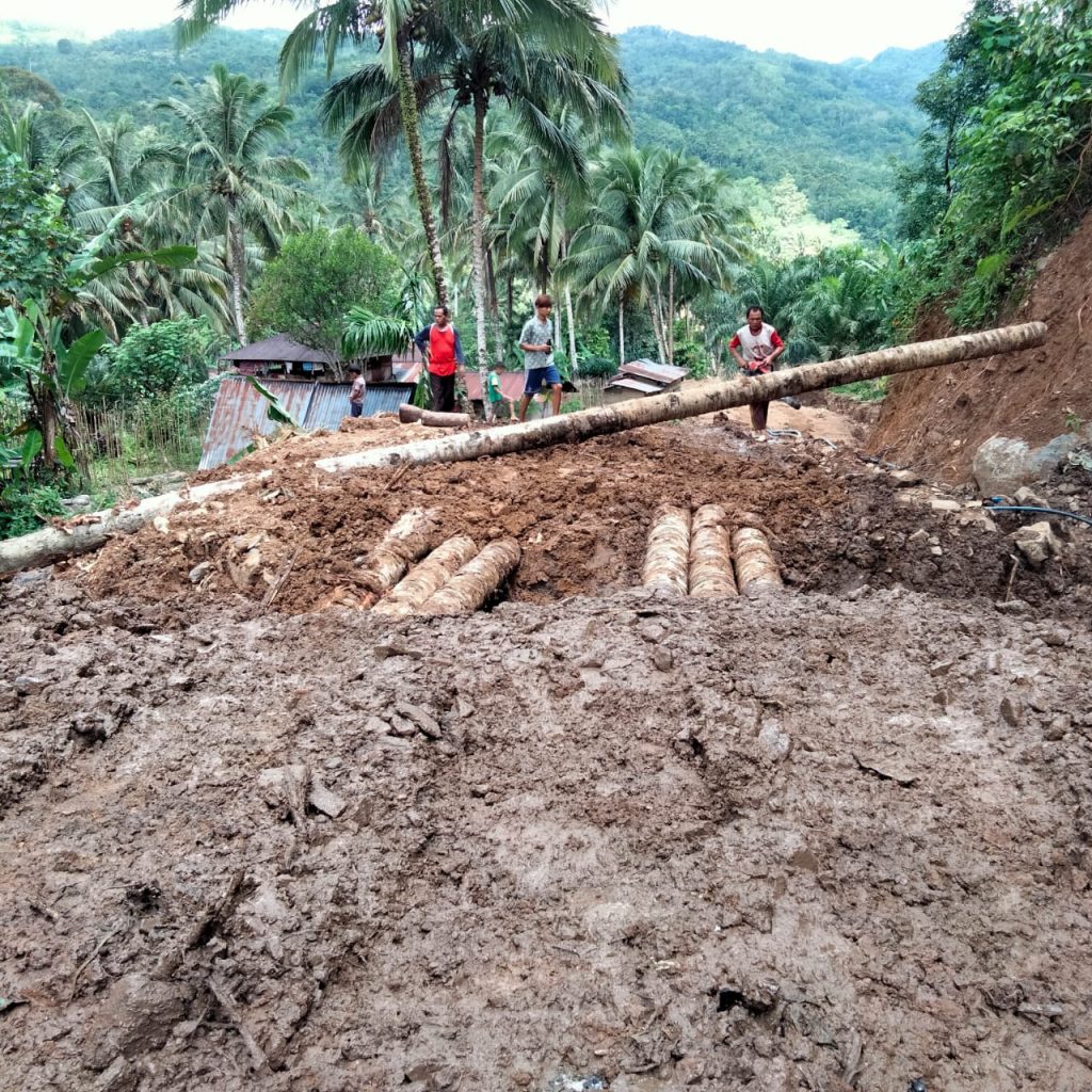 WhatsApp Image 2021-06-11 at 08.01.21