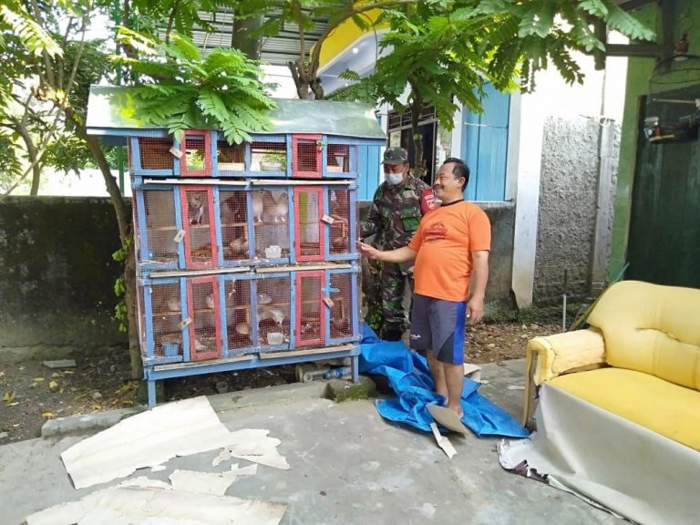 WhatsApp Image 2021-06-11 at 14.03.40