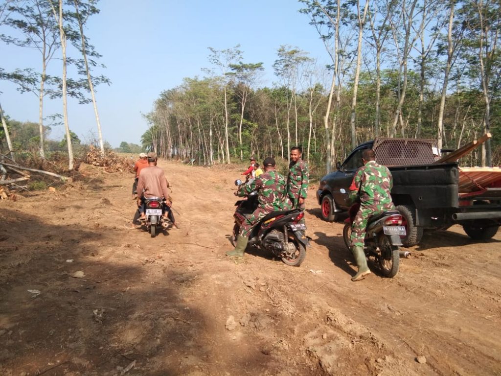 WhatsApp Image 2021-06-11 at 14.57.34