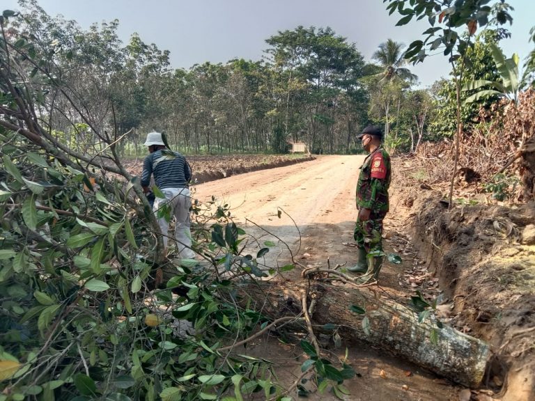 WhatsApp Image 2021-06-11 at 14.58.18