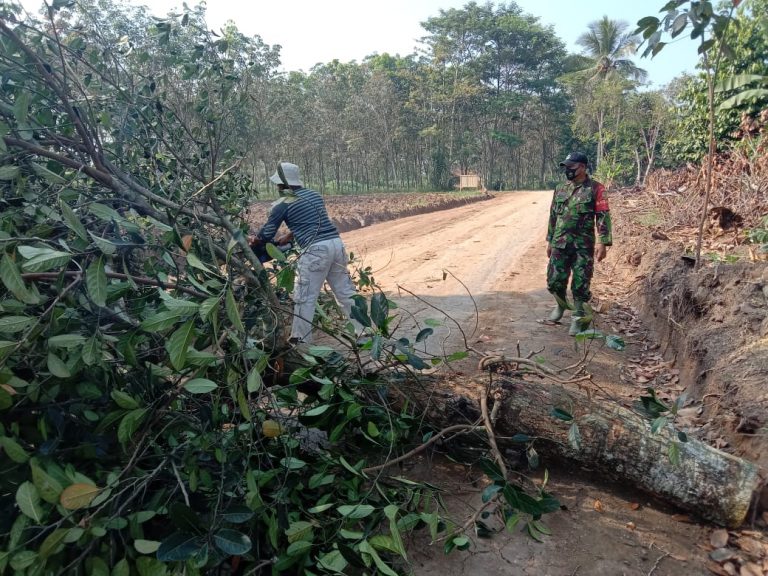 WhatsApp Image 2021-06-11 at 15.49.22