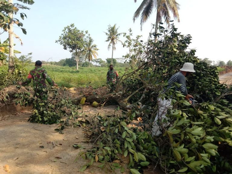 WhatsApp Image 2021-06-11 at 15.51.13(1)