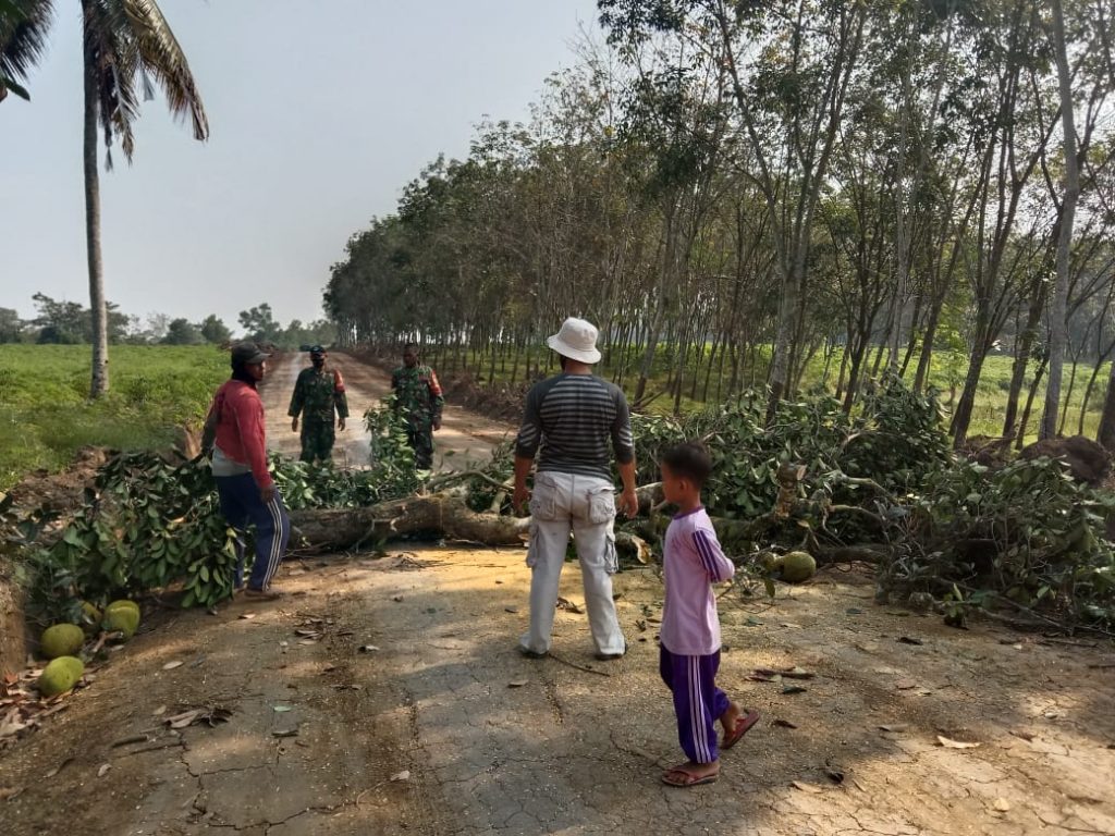 WhatsApp Image 2021-06-11 at 15.52.47