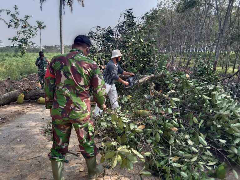 WhatsApp Image 2021-06-11 at 15.54.36