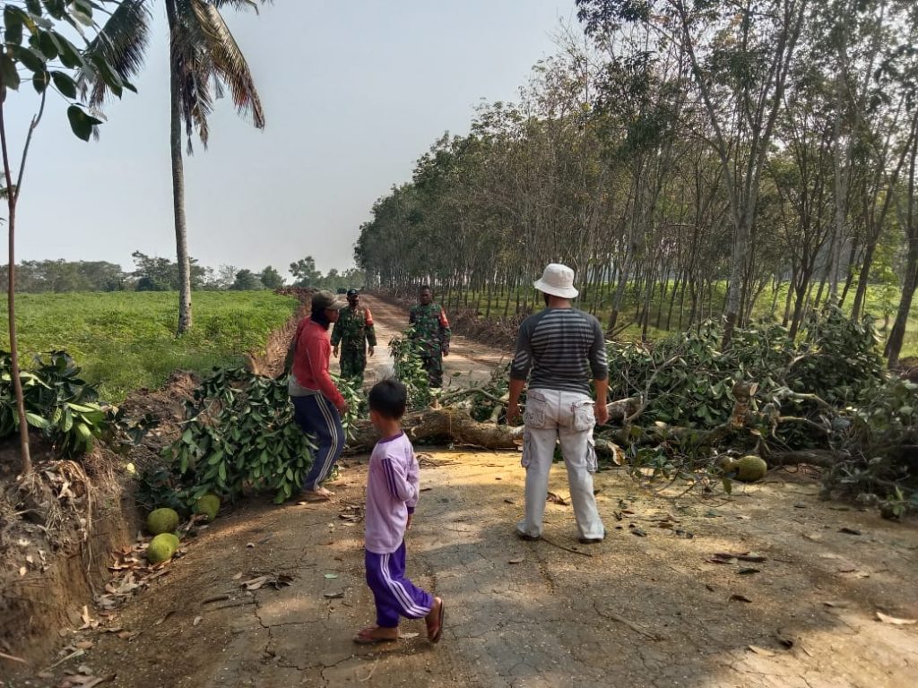 WhatsApp Image 2021-06-11 at 15.57.34