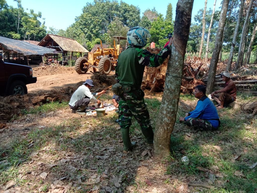 WhatsApp Image 2021-06-12 at 12.36.45