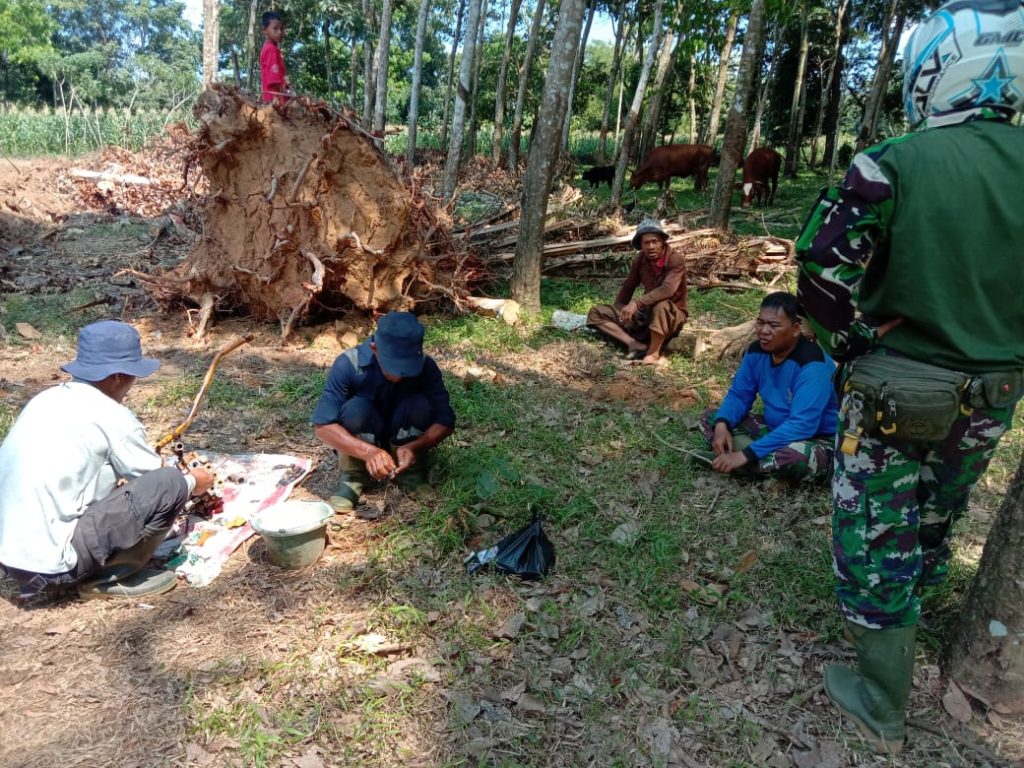 WhatsApp Image 2021-06-12 at 12.38.08