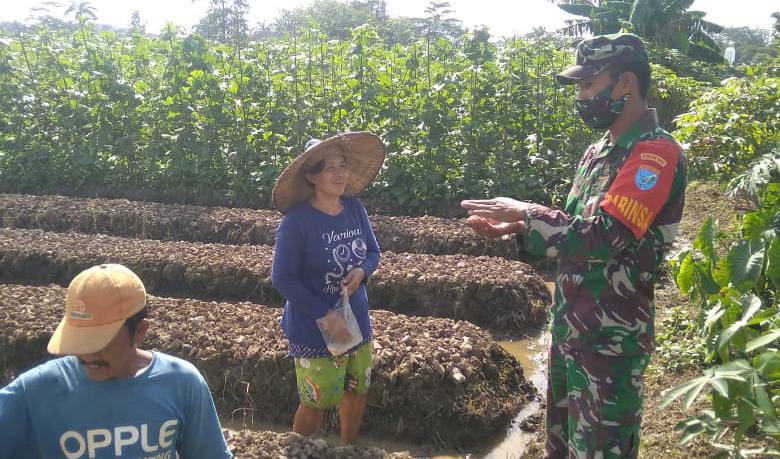 WhatsApp Image 2021-06-13 at 05.48.10