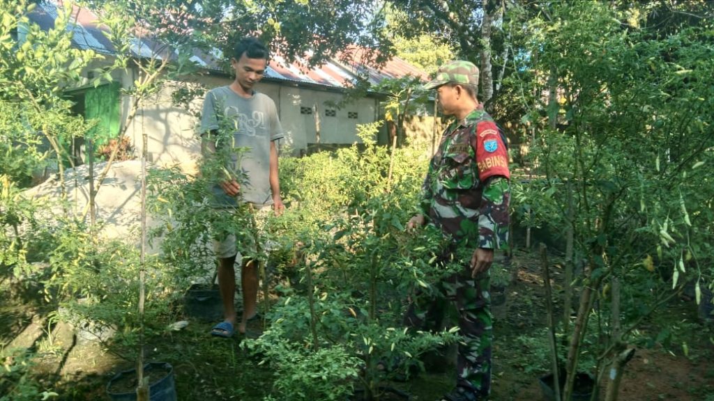 WhatsApp Image 2021-06-13 at 05.48.19