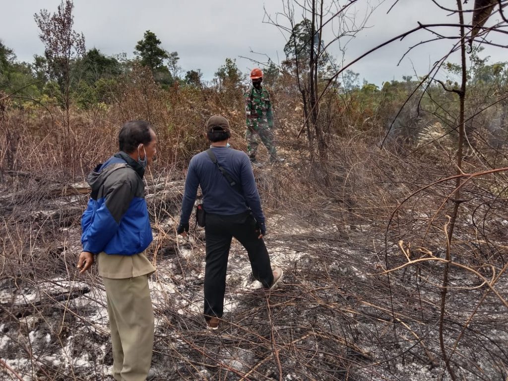 WhatsApp Image 2021-06-13 at 05.49.12