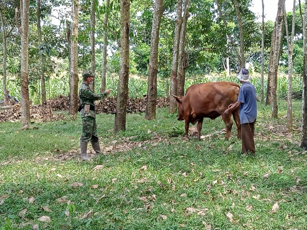 WhatsApp Image 2021-06-13 at 09.49.17