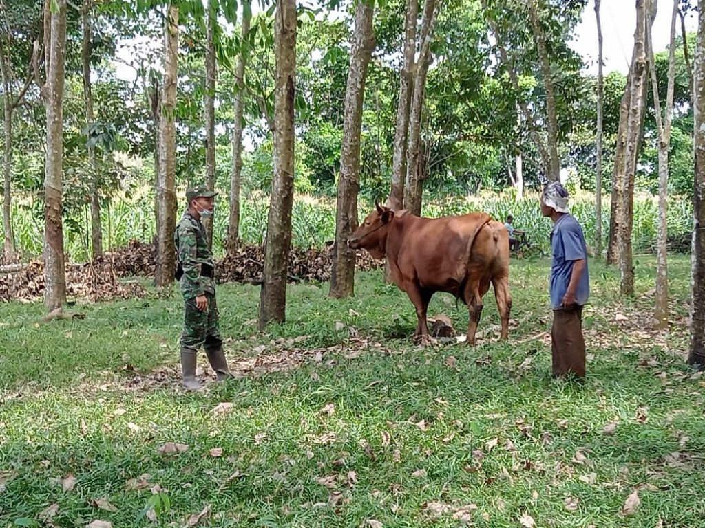 WhatsApp Image 2021-06-13 at 09.53.28