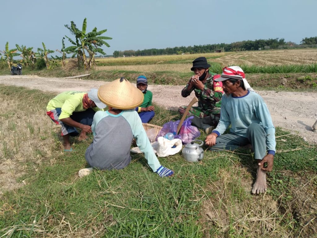 WhatsApp Image 2021-06-13 at 14.45.21