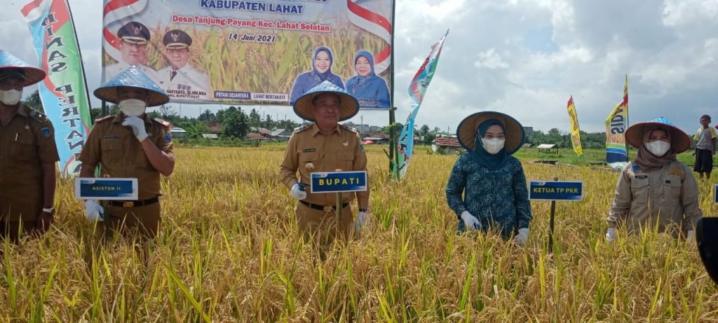 WhatsApp Image 2021-06-14 at 01.51.26