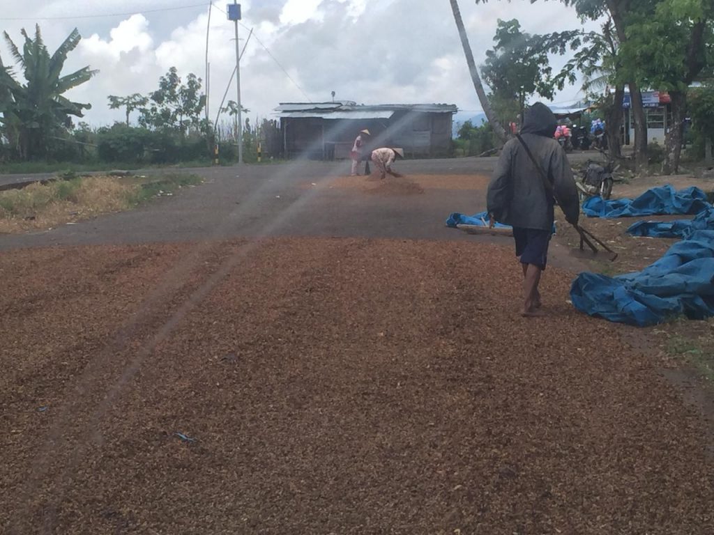 WhatsApp Image 2021-06-14 at 03.57.06