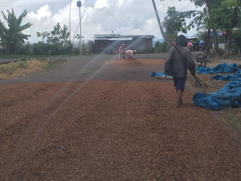 WhatsApp Image 2021-06-14 at 03.57.06