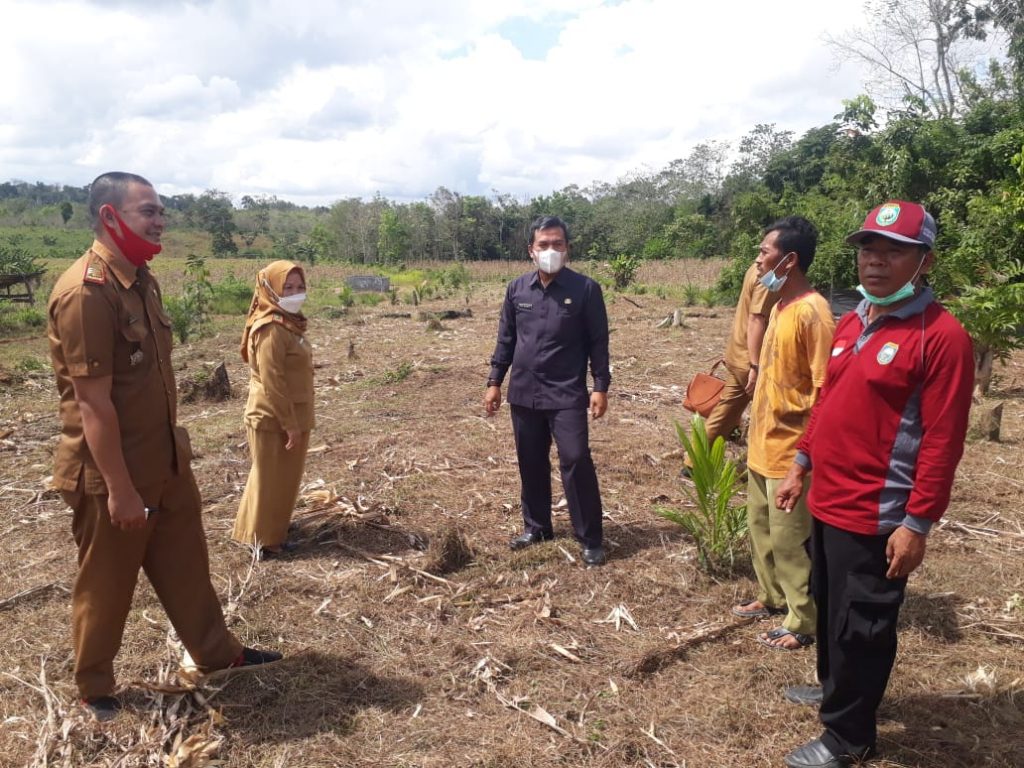 WhatsApp Image 2021-06-15 at 04.35.44