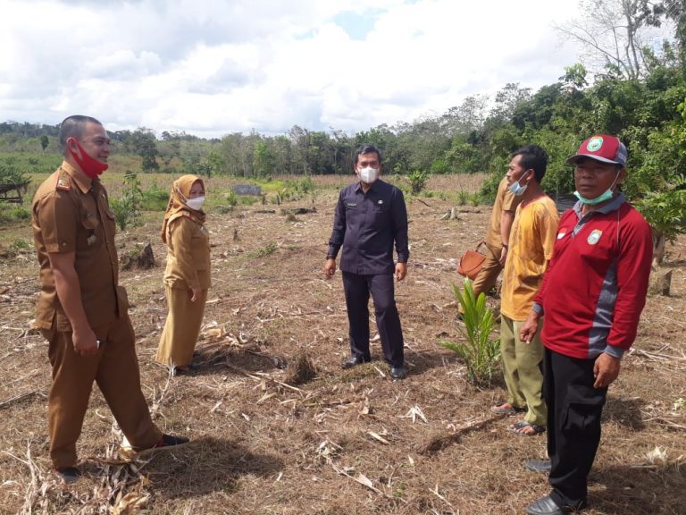 WhatsApp Image 2021-06-15 at 04.35.44