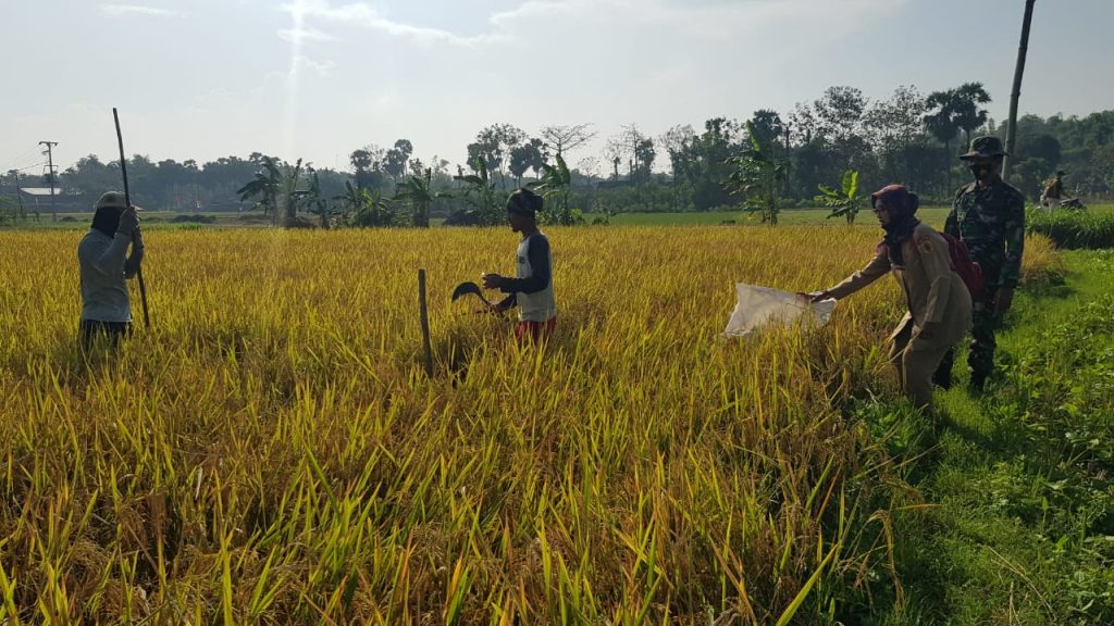 WhatsApp Image 2021-06-15 at 19.23.36