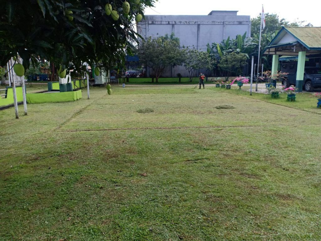 WhatsApp Image 2021-06-16 at 10.19.25