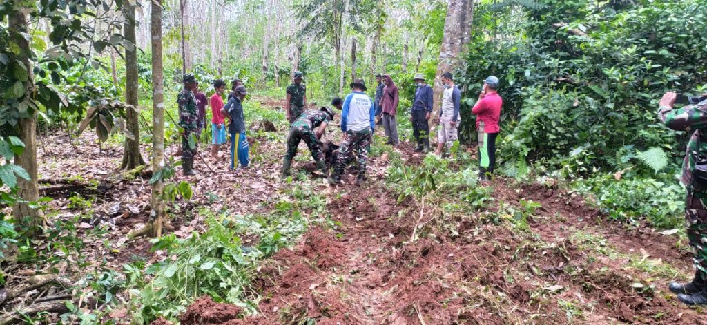 WhatsApp Image 2021-06-16 at 11.19.09