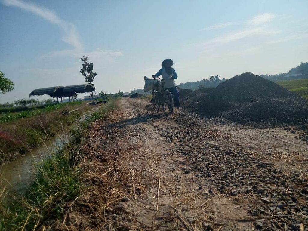 WhatsApp Image 2021-06-16 at 14.20.08