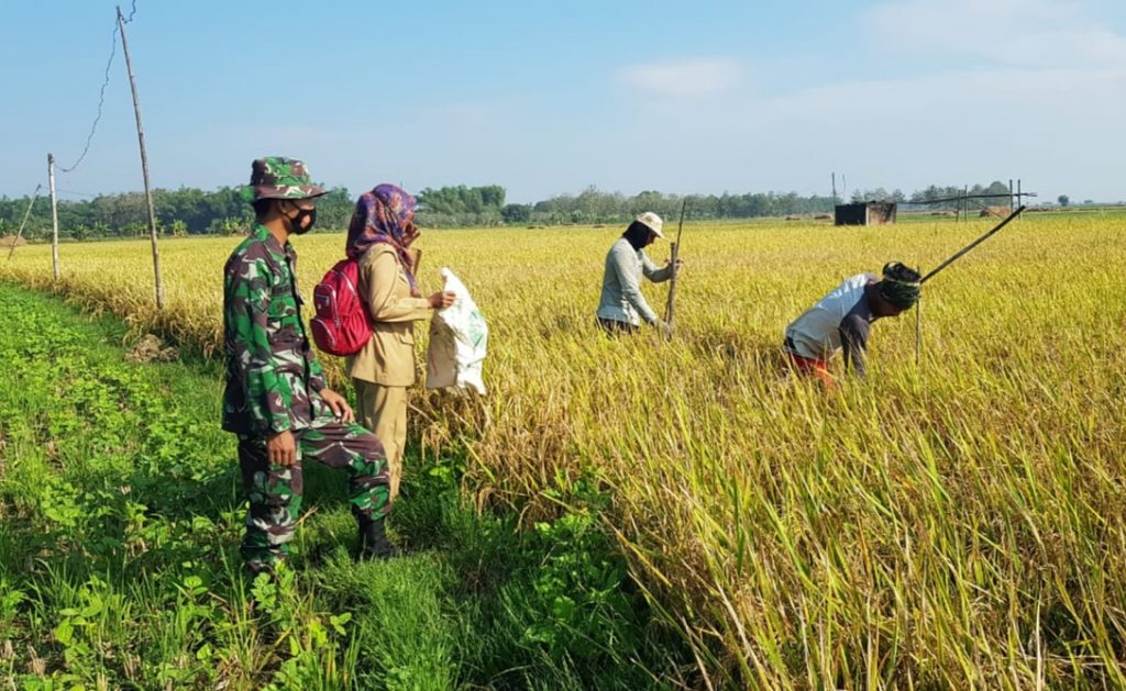 WhatsApp Image 2021-06-16 at 14.20.41