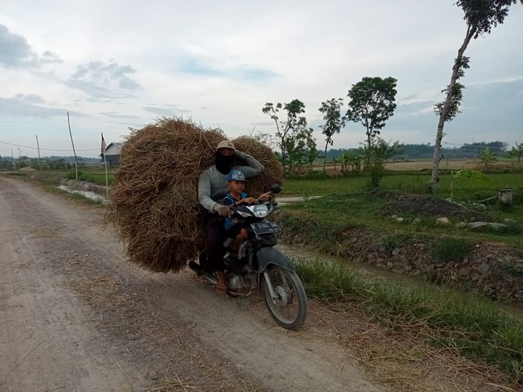 WhatsApp Image 2021-06-16 at 14.20.48