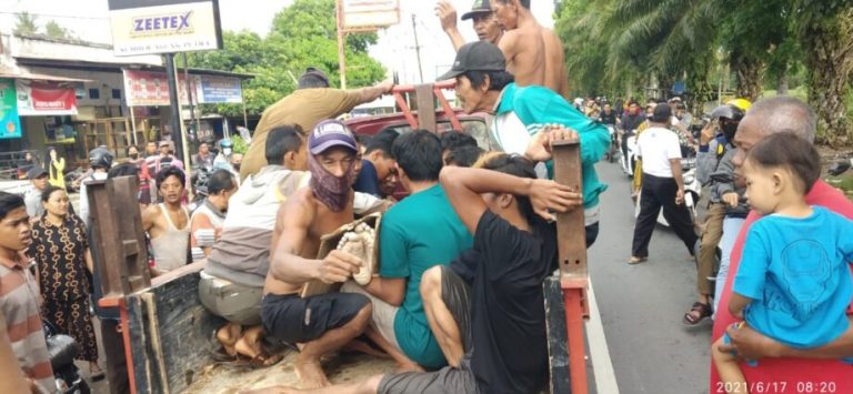 WhatsApp Image 2021-06-17 at 01.08.14