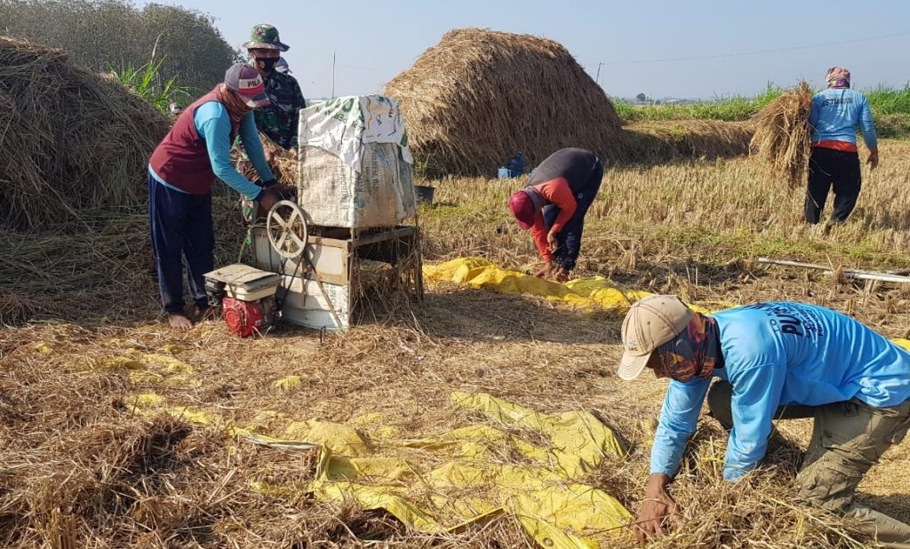 WhatsApp Image 2021-06-17 at 13.13.24