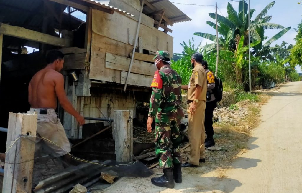 WhatsApp Image 2021-06-17 at 13.13.31