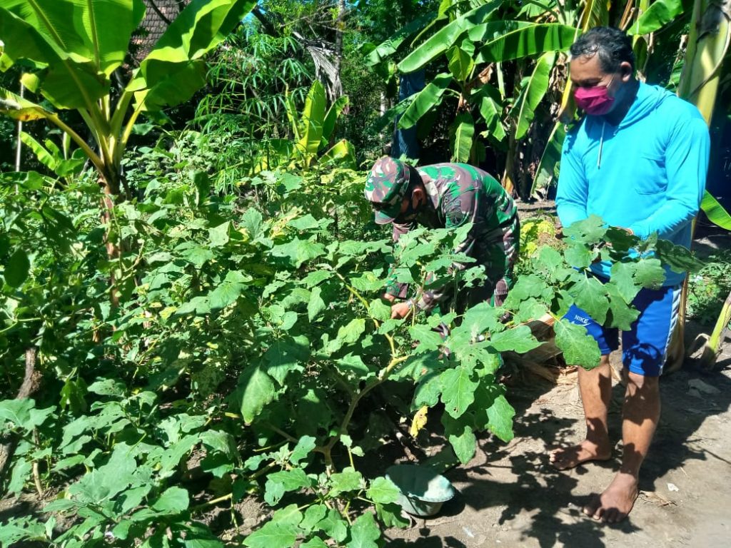 WhatsApp Image 2021-06-17 at 13.13.40