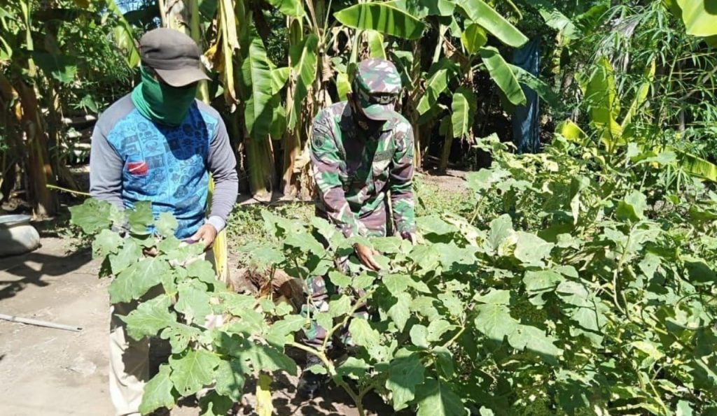 WhatsApp Image 2021-06-17 at 13.13.56