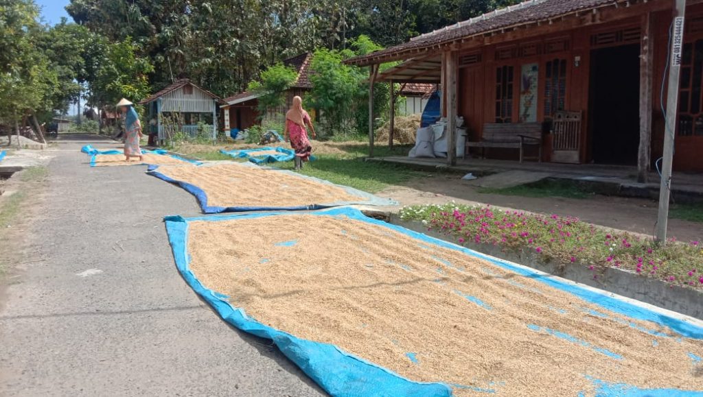 WhatsApp Image 2021-06-17 at 13.14.11